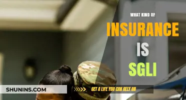 Understanding Service Members Group Life Insurance
