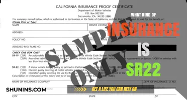Understanding SR22 Insurance: What It Is and Who Needs It