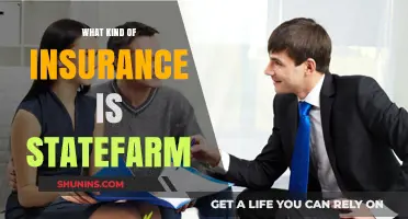 StateFarm Insurance: Comprehensive Coverage and Peace of Mind
