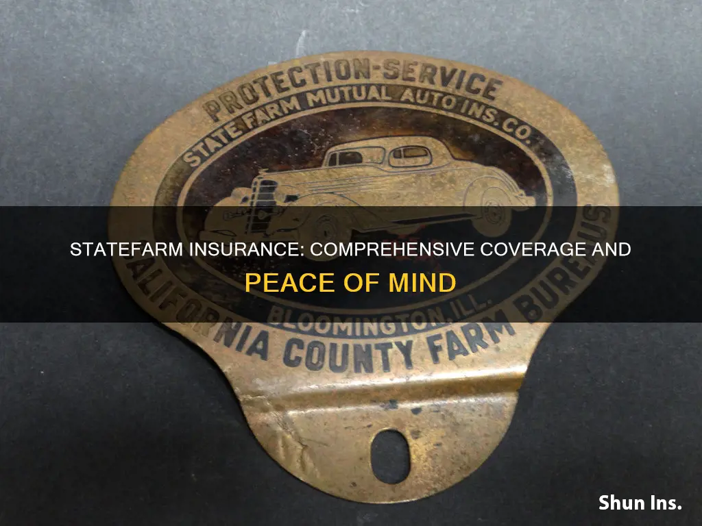 what kind of insurance is statefarm