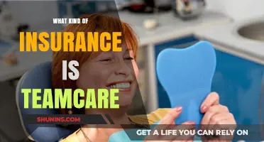 TeamCare Insurance: What You Need to Know