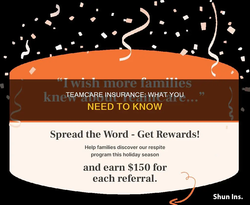 what kind of insurance is teamcare