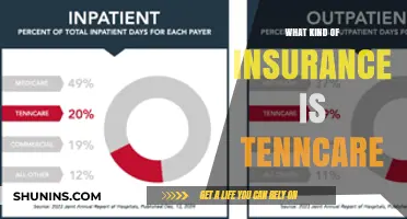 TennCare Insurance: What You Need to Know