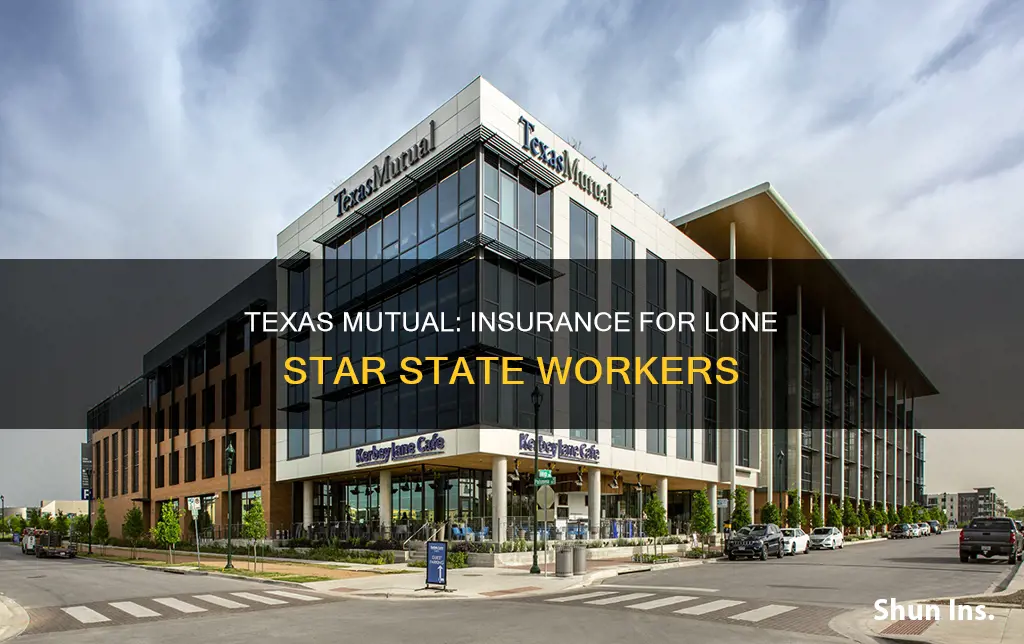 what kind of insurance is texas mutual