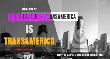 Transamerica Insurance: Comprehensive Coverage and Peace of Mind