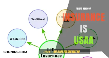 Usaa Insurance: What's Covered and Who Qualifies?