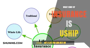 Uship Insurance: What You Need to Know