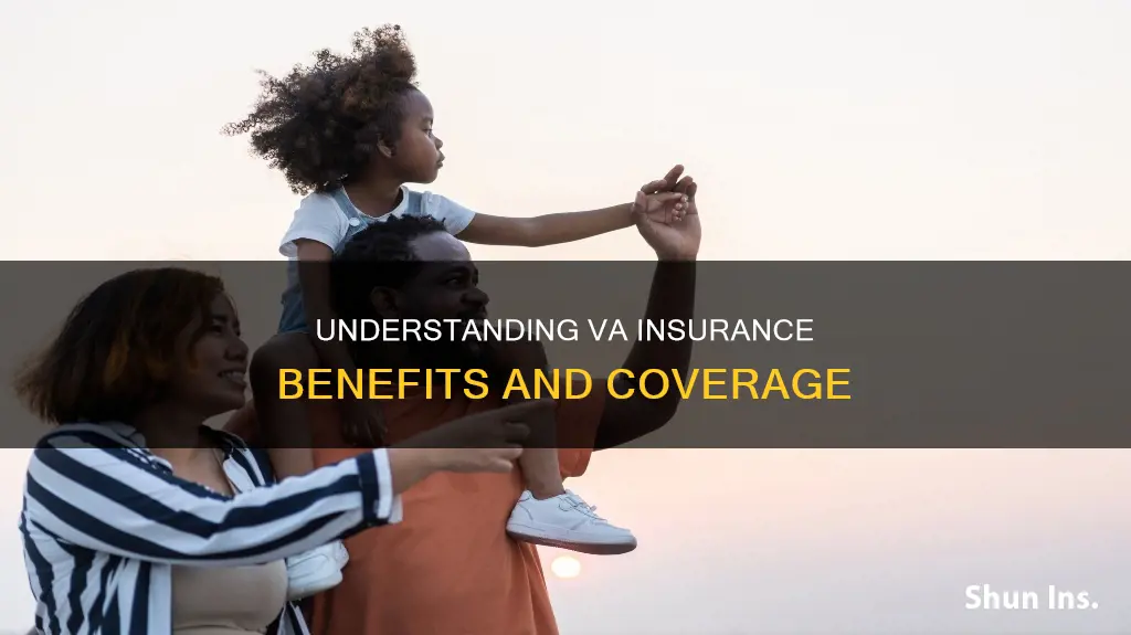 what kind of insurance is va