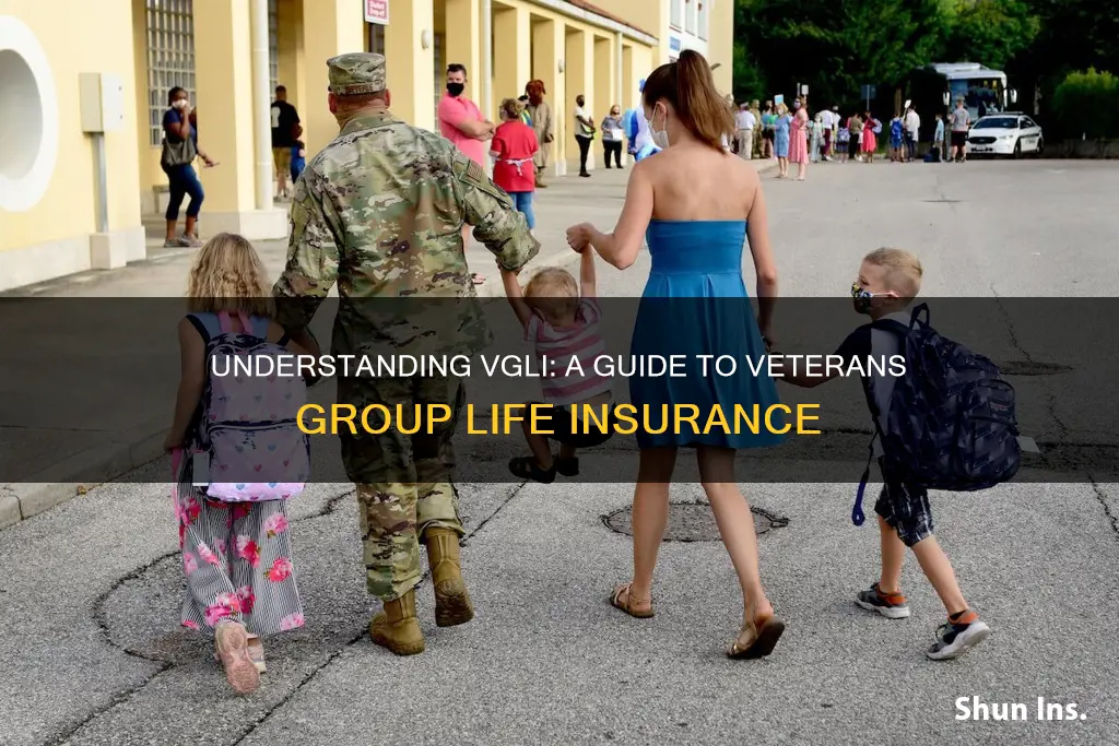 what kind of insurance is vgli