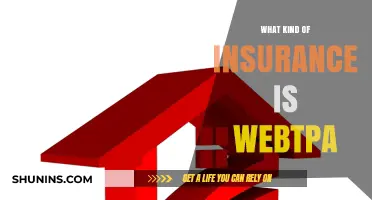 WebTPA Insurance: What You Need to Know