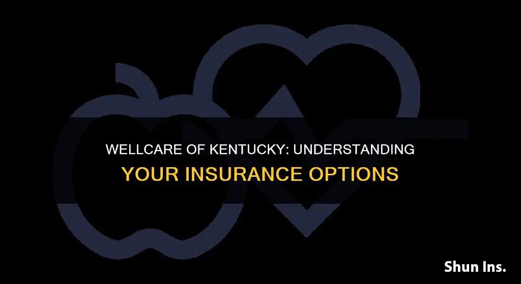 what kind of insurance is wellcare of kentucky