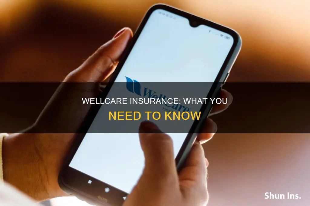 what kind of insurance is wellcare