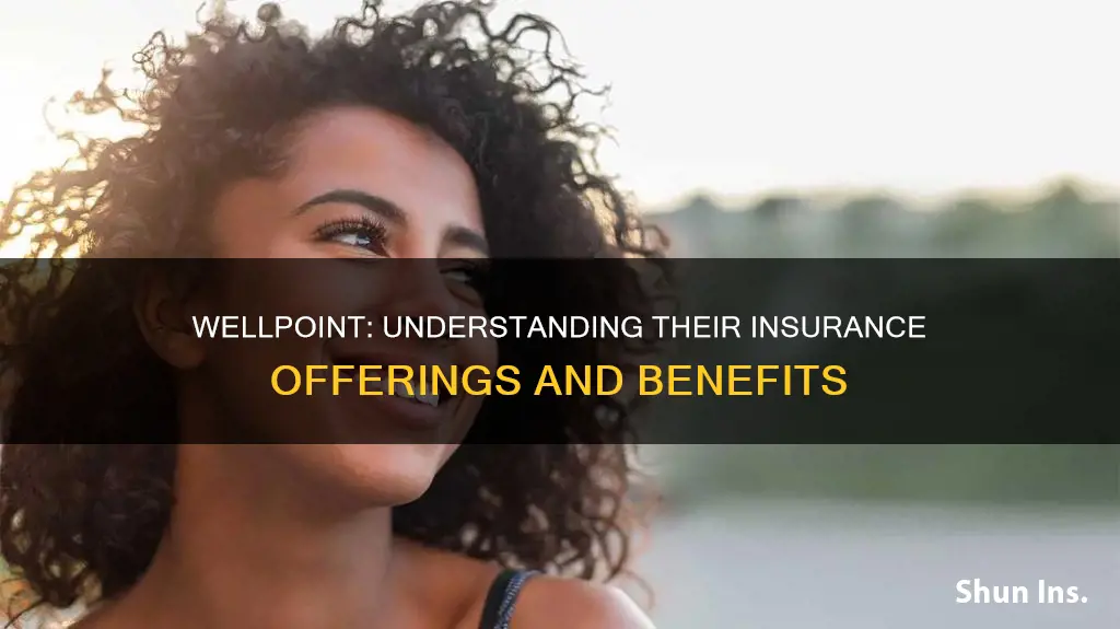 what kind of insurance is wellpoint
