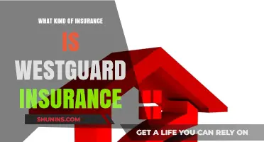 Westguard Insurance: What Type of Coverage Do They Offer?