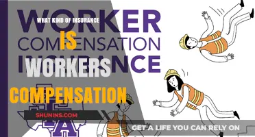 Understanding Worker's Compensation Insurance and Its Benefits