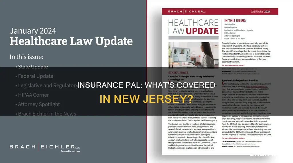 what kind of insurance pal in chip in nj