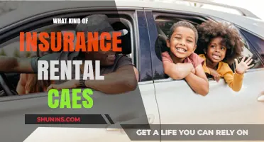 Rental Car Insurance: What You Need to Know