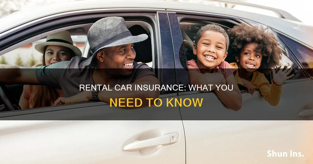 what kind of insurance rental caes