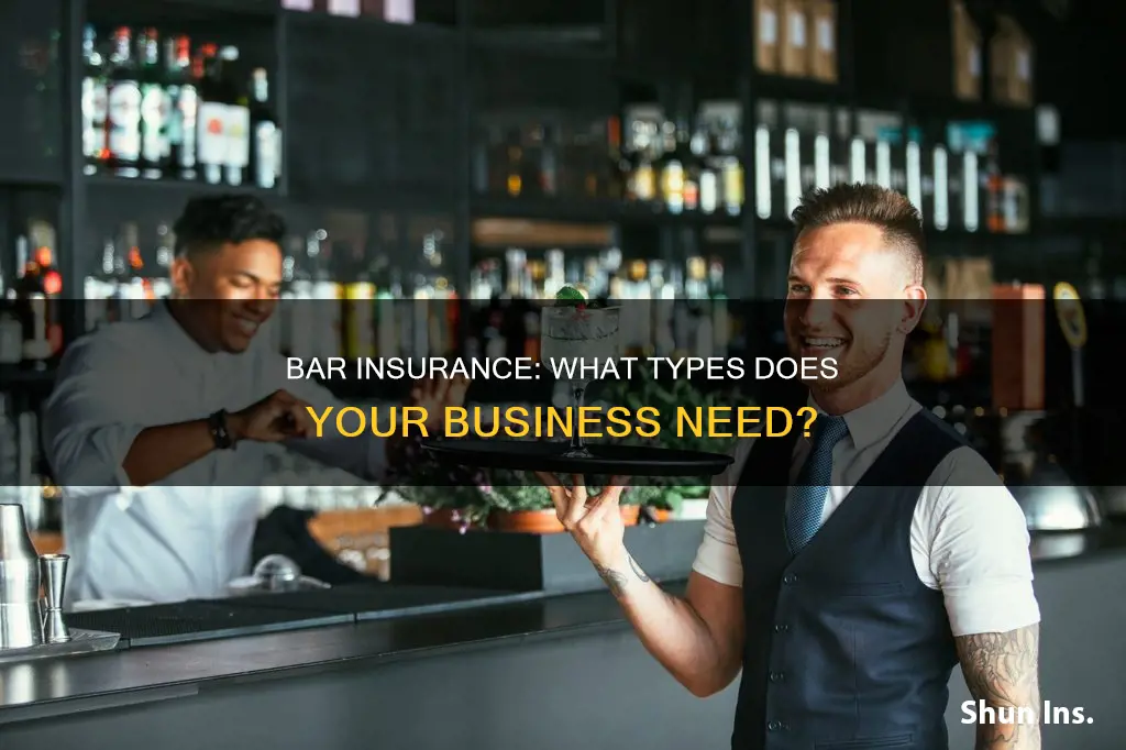what kind of insurance should a bar have