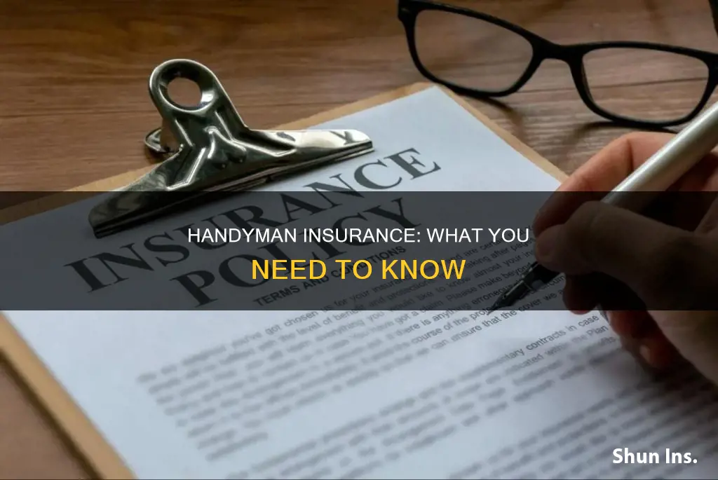what kind of insurance should a handyman have