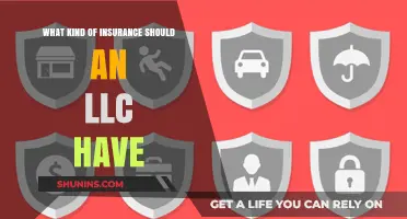 LLC Insurance: What Kind of Coverage is Needed?