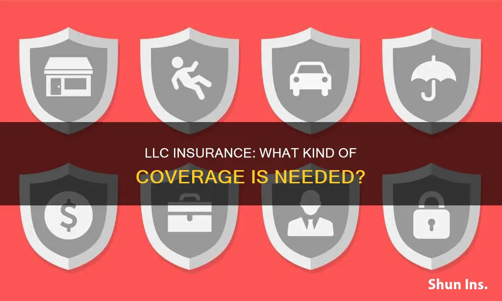 what kind of insurance should an llc have