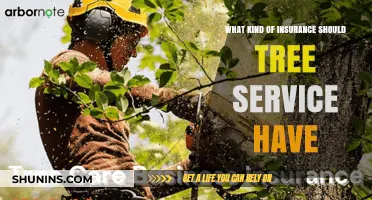 Tree Service Insurance: What You Need to Know