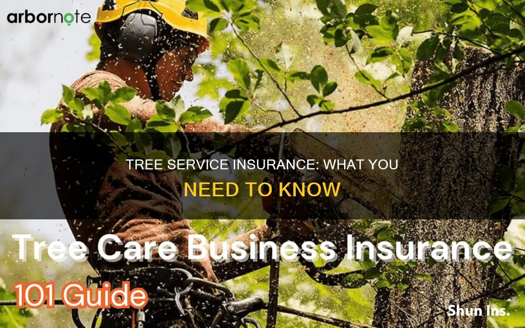 what kind of insurance should tree service have