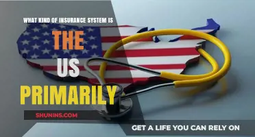 Understanding the US Private Insurance System