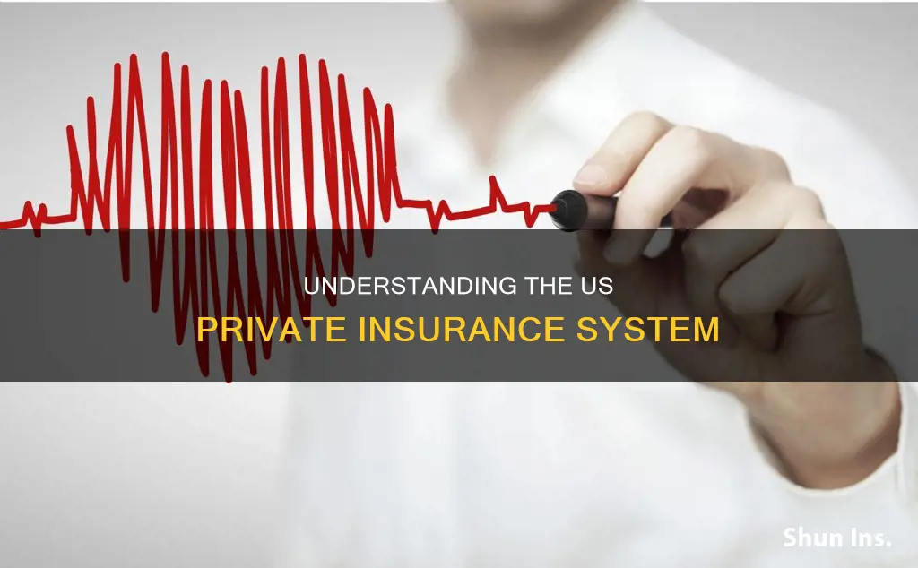 what kind of insurance system is the us primarily