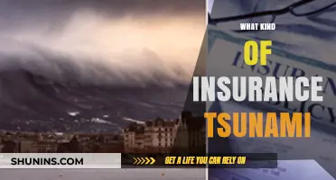 Protecting Your Property: Tsunami Insurance Options