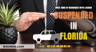 Florida: Insurance Options for Suspended Licenses