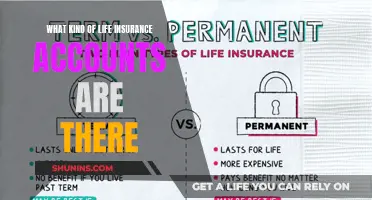 Life Insurance 101: Exploring Different Account Types