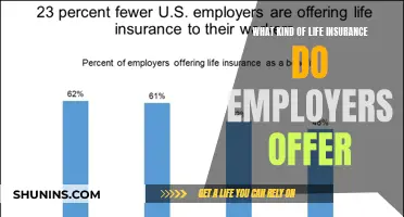 Unraveling the Mystery: What's in Your Employer's Life Insurance Plan?