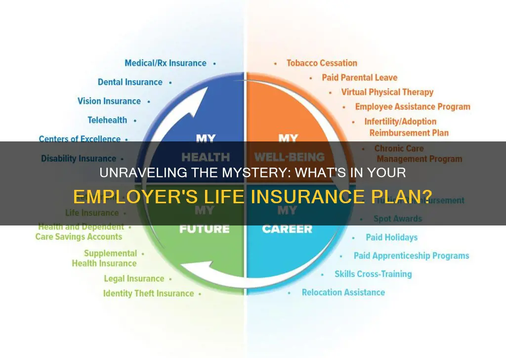 what kind of life insurance do employers offer