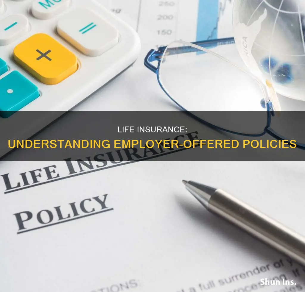 what kind of life insurance do employers offer