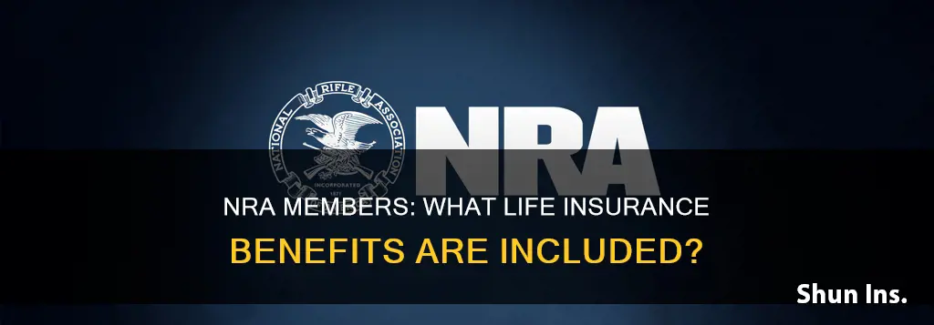 what kind of life insurance do lifetime nra members receive