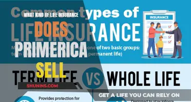 Primerica's Life Insurance: Comprehensive Coverage for All Needs