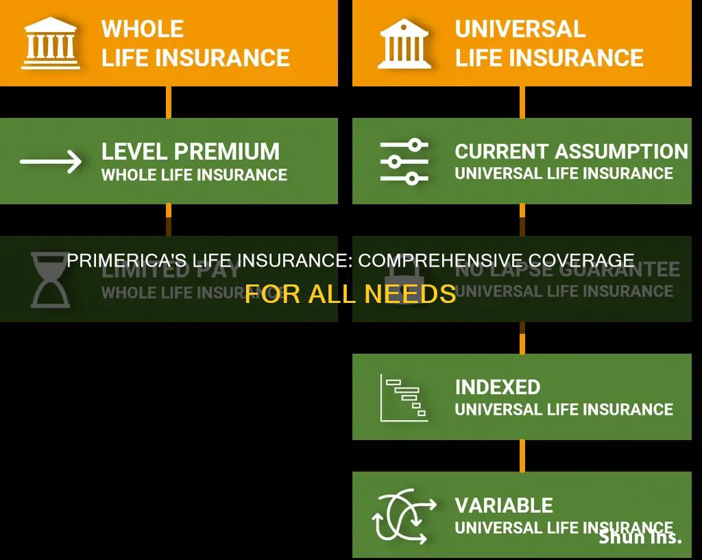 what kind of life insurance does primerica sell