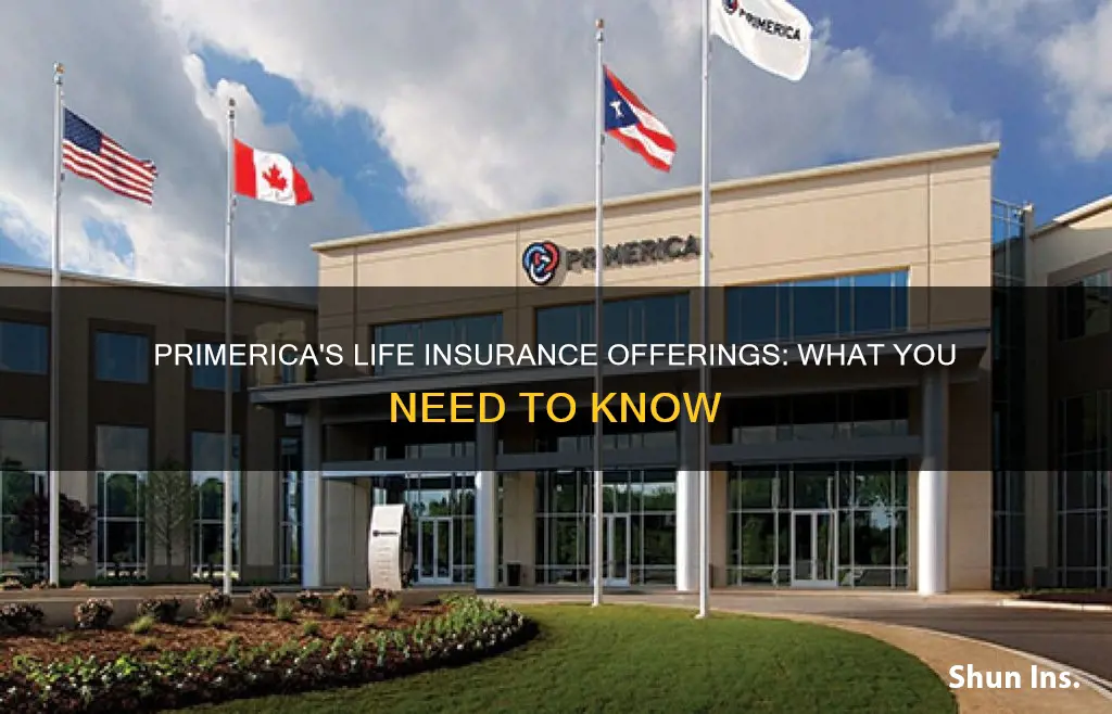 what kind of life insurance does primerica sell