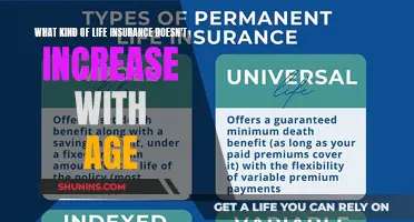 Unchanging Life Insurance: A Guide to Level-Term Policies