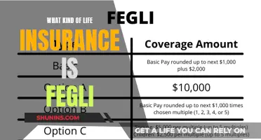 Fegli: Understanding the Unique Features of This Life Insurance