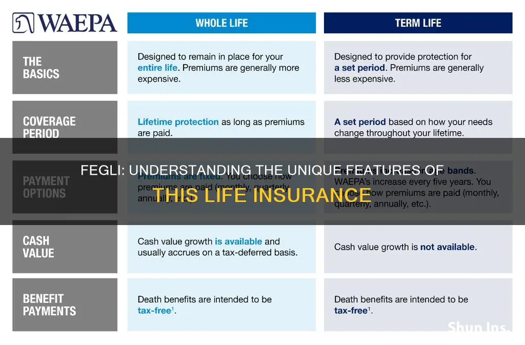 what kind of life insurance is fegli