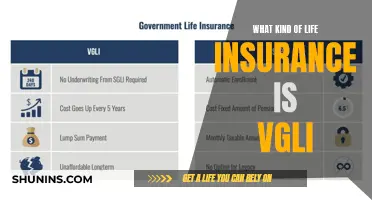 Understanding VGLI: Exploring the Benefits of Life Insurance