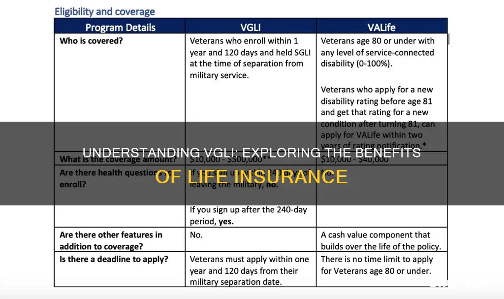 what kind of life insurance is vgli