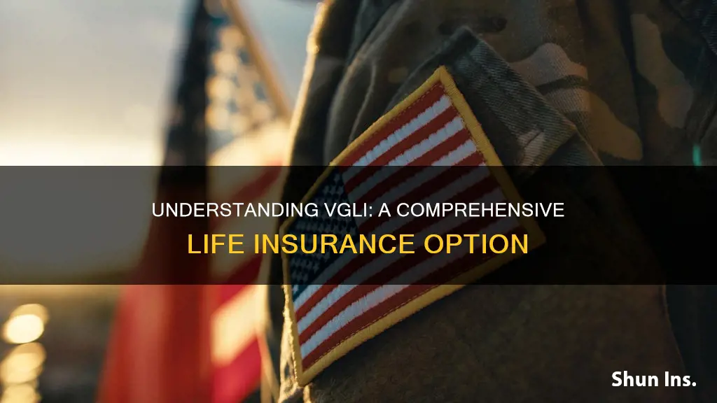 what kind of life insurance is vgli