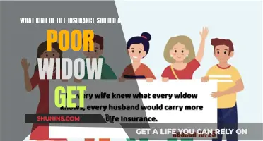 Life Insurance for Widows: Navigating Financial Security