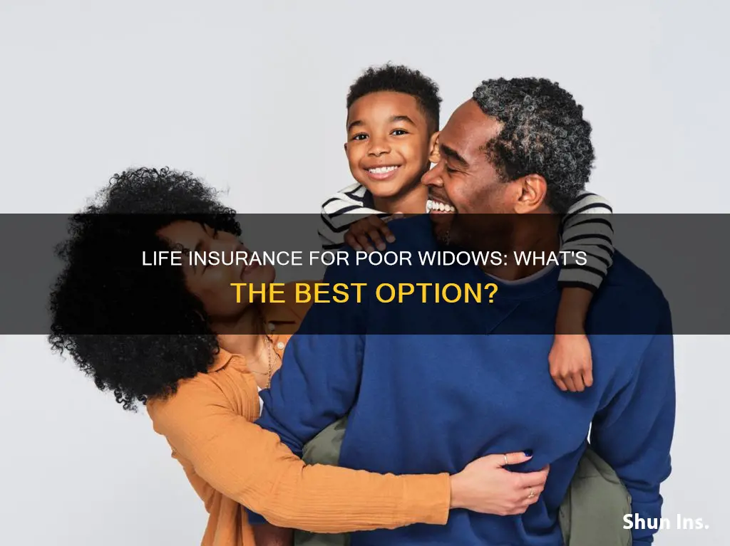 what kind of life insurance should a poor widow get