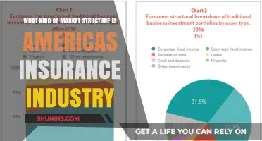 America's Insurance Industry: A Competitive Market Structure