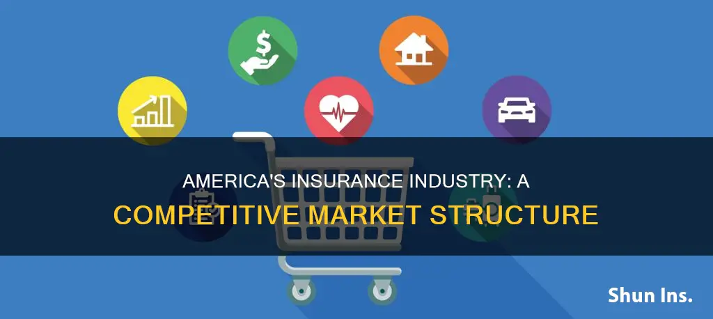 what kind of market structure is americas insurance industry